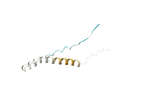 AF-A0A7J9USG7-F1 image