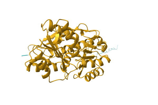 AF-A0A7J9V4Z0-F1 image