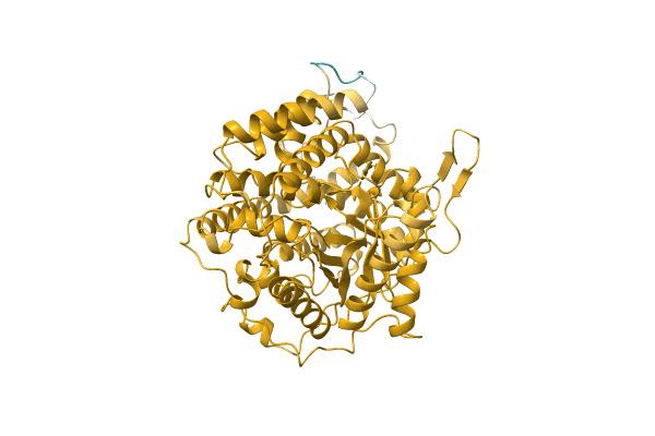 AF-A0A7J9V5F6-F1 image