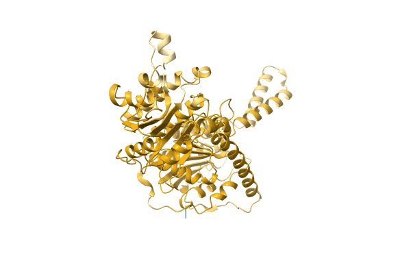 AF-A0A7J9V5L4-F1 image