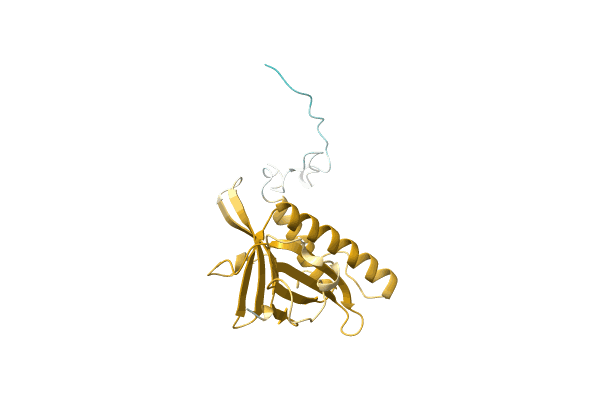 AF-A0A7J9V5Q2-F1 image