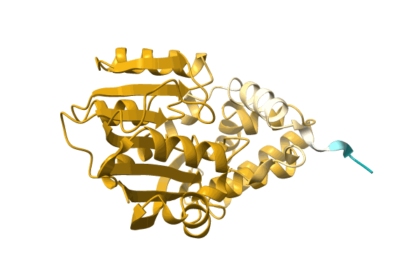 AF-A0A7J9V5S3-F1 image