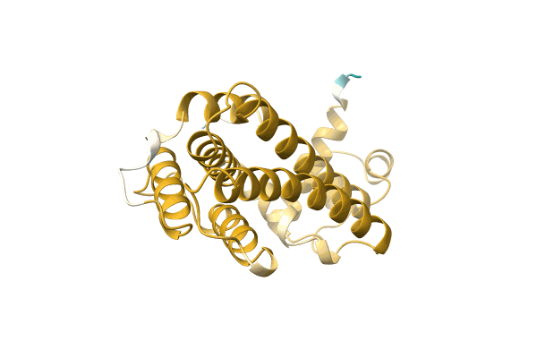 AF-A0A7J9V5S6-F1 image