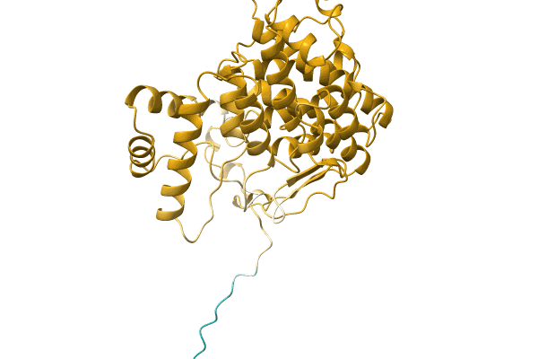 AF-A0A7J9V5V5-F1 image