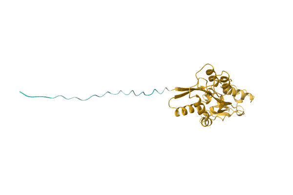 AF-A0A7J9V5W3-F1 image