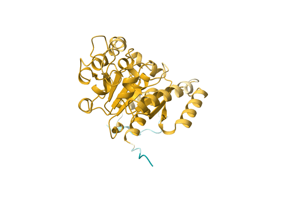 AF-A0A7J9V618-F1 image