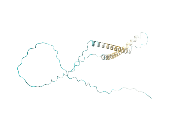 AF-A0A7J9V650-F1 image