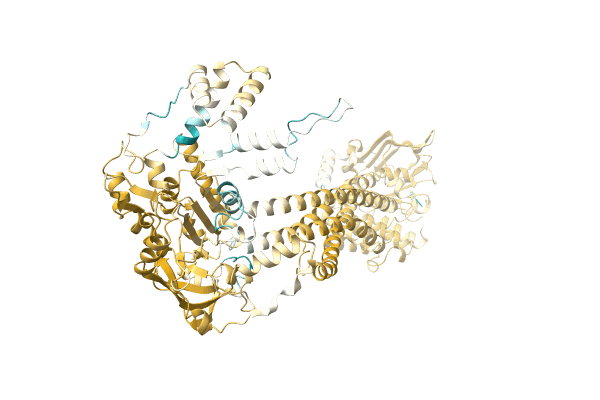 AF-A0A7K0G7C8-F1 image