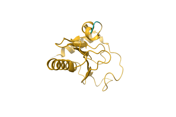 AF-A0A7K0IY94-F1 image