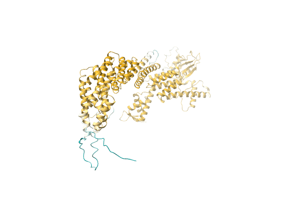 AF-A0A7K7W8Q3-F1 image