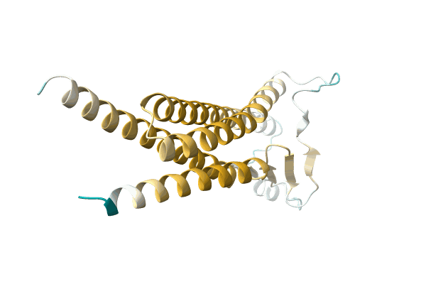 AF-A0A7K7WSR3-F1 image