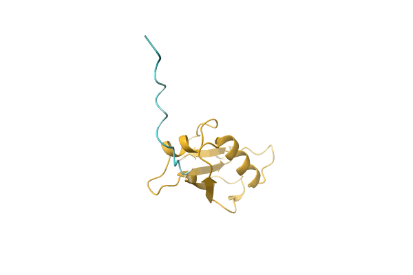 AF-A0A7K7WT28-F1 image