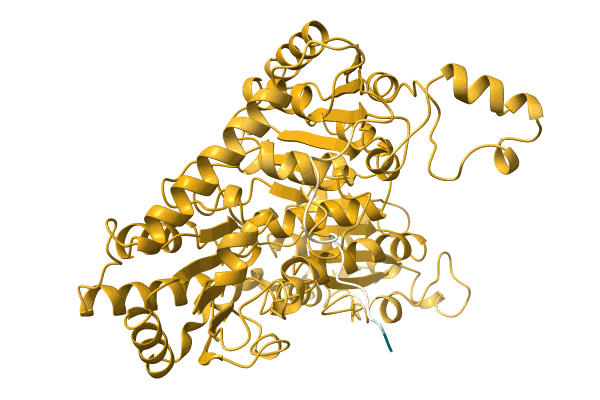 AF-A0A7K9JHG5-F1 image