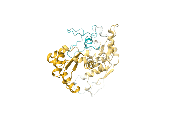 AF-A0A7K9JHY1-F1 image