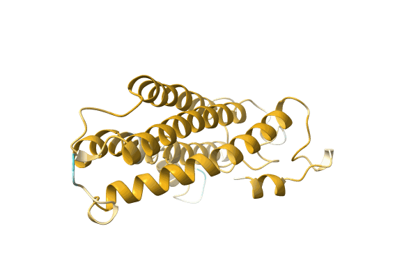 AF-A0A7L5UGY2-F1 image