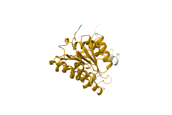 AF-A0A7L7M461-F1 image