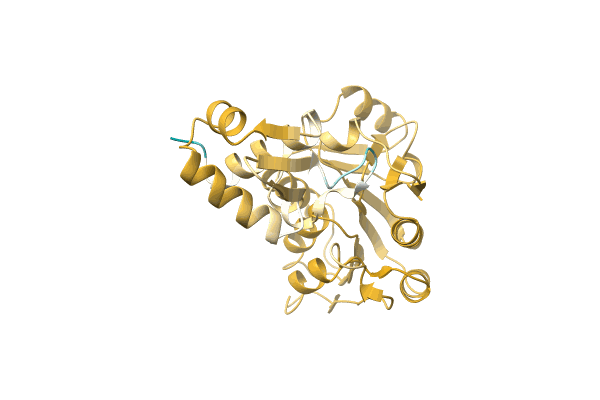 AF-A0A7L7M4T2-F1 image