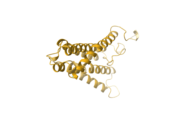 AF-A0A7L7QTU4-F1 image