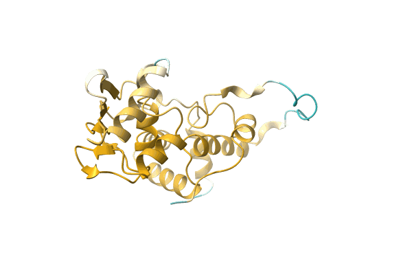 AF-A0A7L7S2R5-F1 image