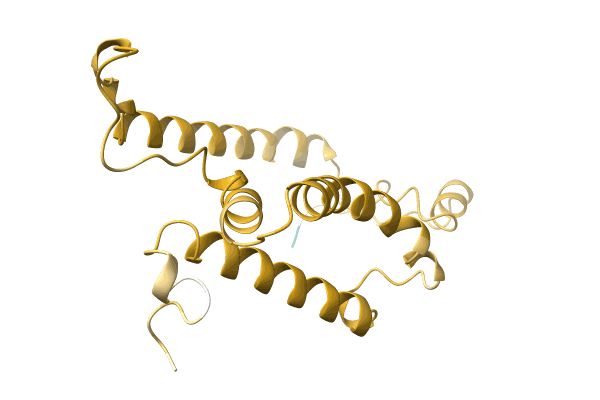 AF-A0A7L7S2T2-F1 image