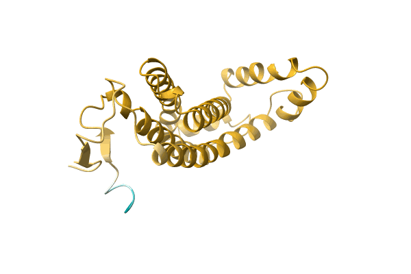 AF-A0A7L7SUC5-F1 image