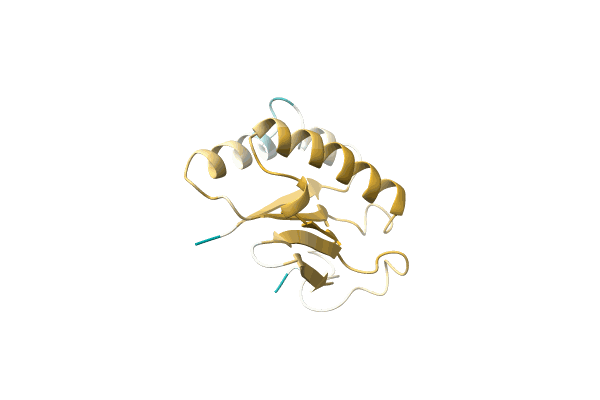 AF-A0A7L7T3E8-F1 image