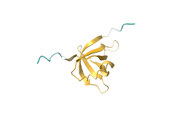 AF-A0A7L7T7W2-F1 image