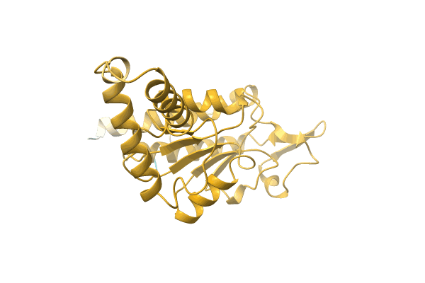 AF-A0A7L7T890-F1 image