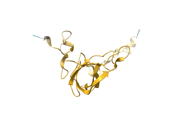 AF-A0A7L7T8L5-F1 image