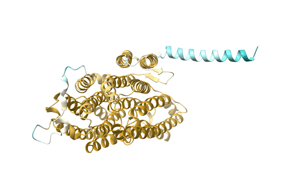 AF-A0A7L7T8Q7-F1 image