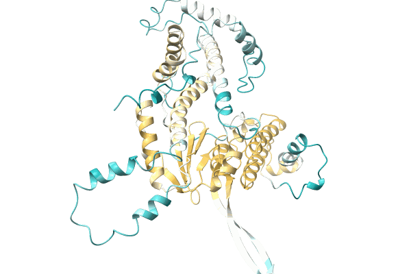 AF-A0A7L7T8S4-F1 image