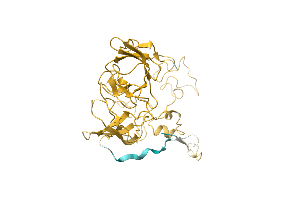 AF-A0A7L7T8V8-F1 image