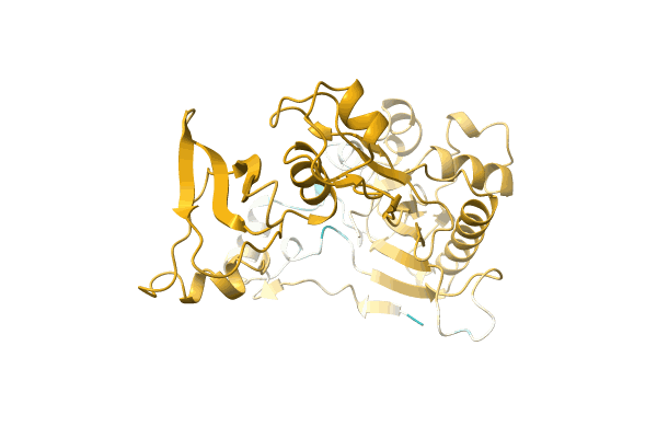 AF-A0A7L9A7B8-F1 image