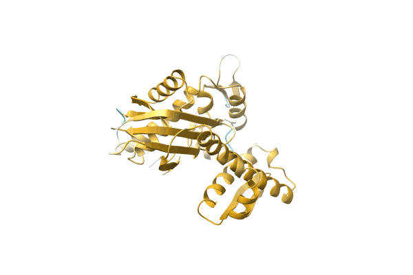 AF-A0A7L9AEQ1-F1 image