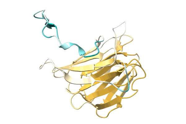 AF-A0A7L9ALT8-F1 image