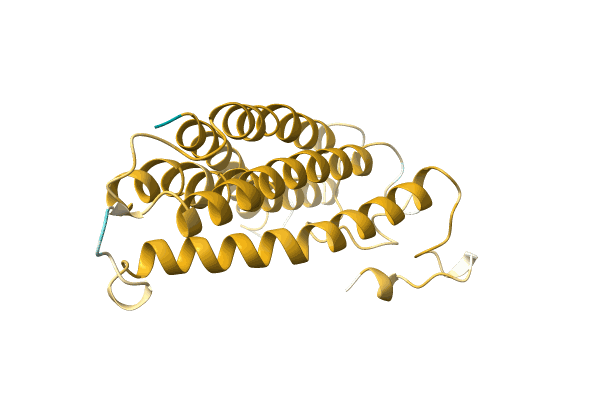 AF-A0A7M1IC80-F1 image