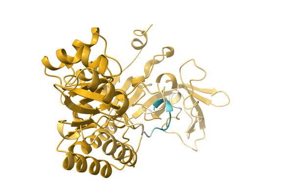 AF-A0A7M1LER3-F1 image