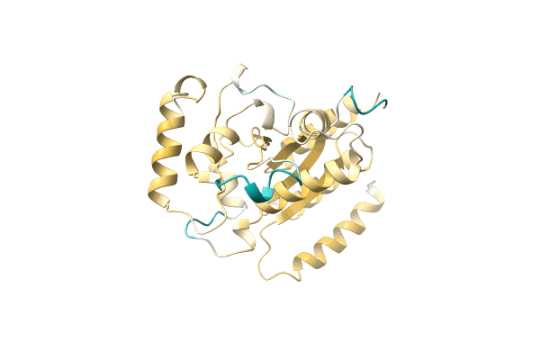 AF-A0A7S5WSL9-F1 image