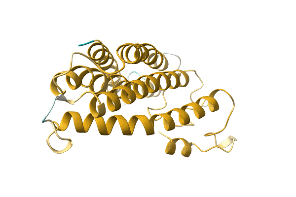 AF-A0A7S5XDU3-F1 image