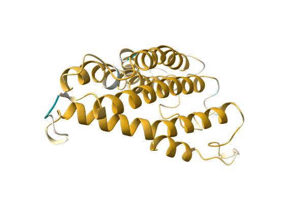 AF-A0A7S6BRU5-F1 image