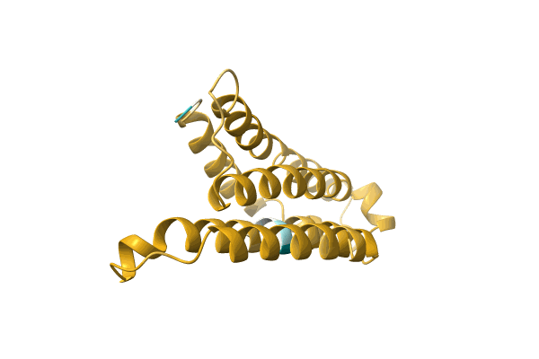 AF-A0A7S6HHH2-F1 image