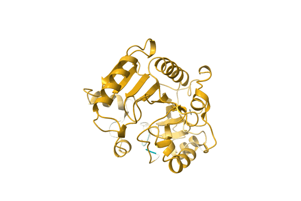 AF-A0A7S6NKN2-F1 image