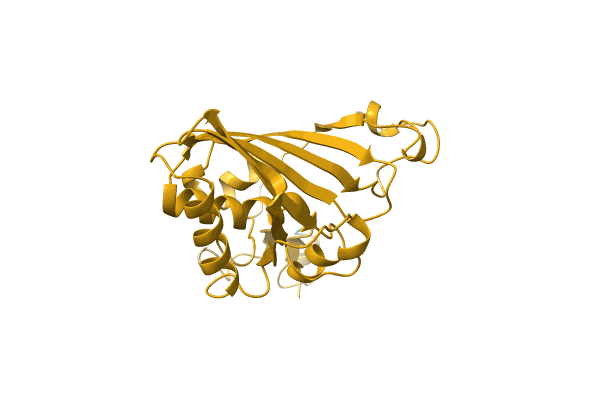 AF-A0A7S6R540-F1 image