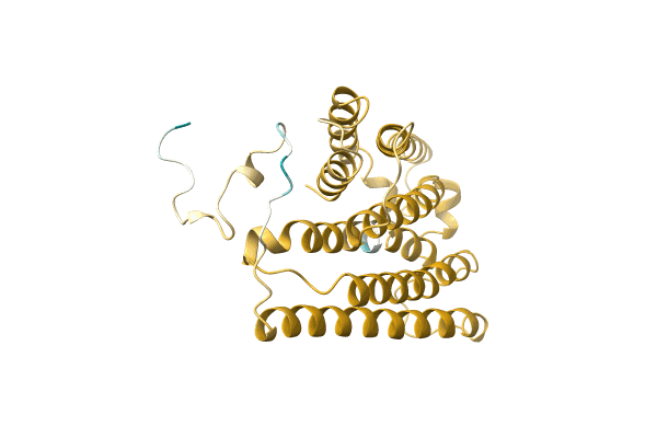 AF-A0A7T1HF35-F1 image