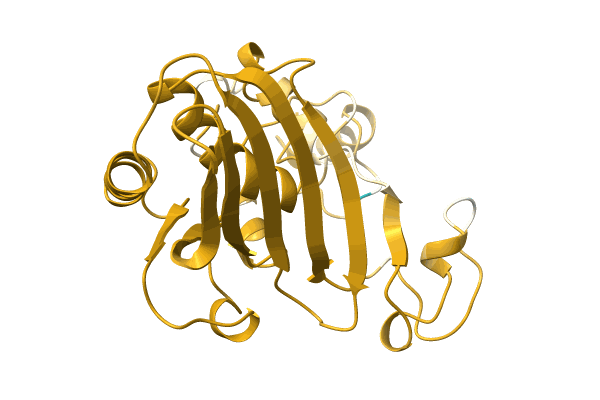 AF-A0A7T7DBD2-F1 image