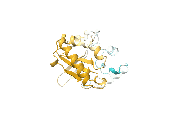 AF-A0A7T7DBN8-F1 image