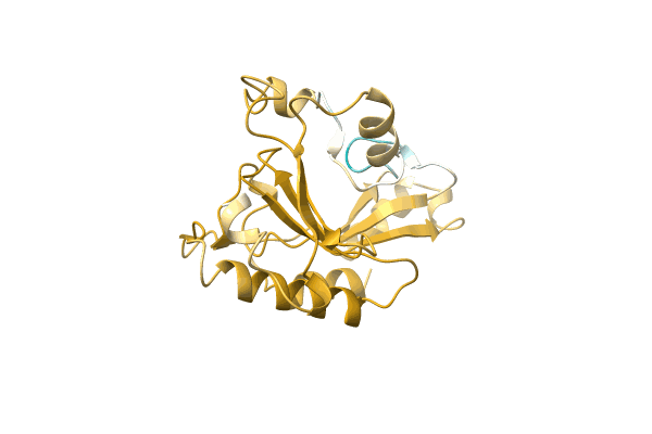 AF-A0A7T7DBZ2-F1 image