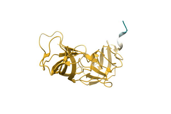 AF-A0A7T7IHB4-F1 image