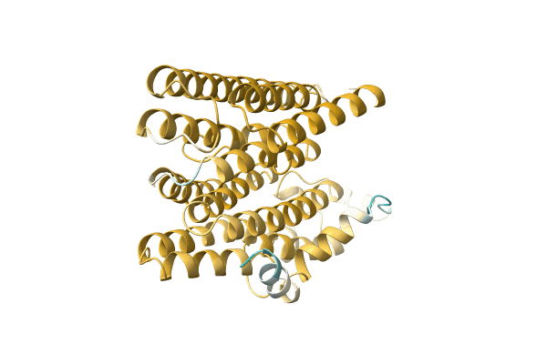 AF-A0A7U3Q306-F1 image