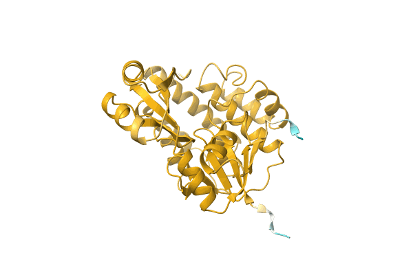 AF-A0A7V9MH81-F1 image